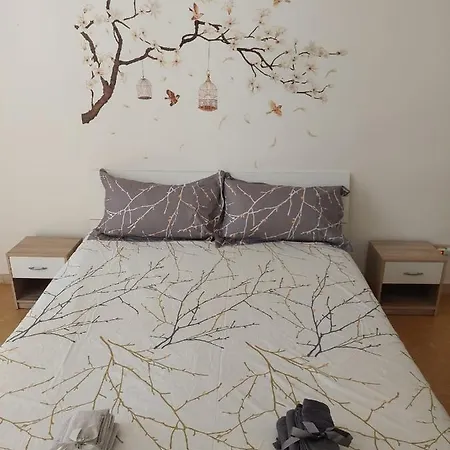 Nicolhome Rome
